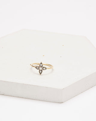 Starfish Rings